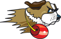 University of St. Francis banner logo